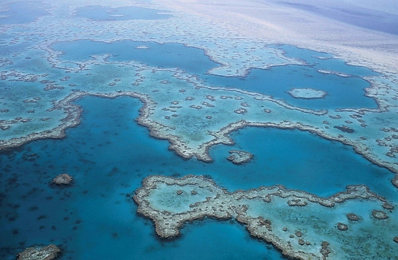Grande Barrière de Corail en Australie